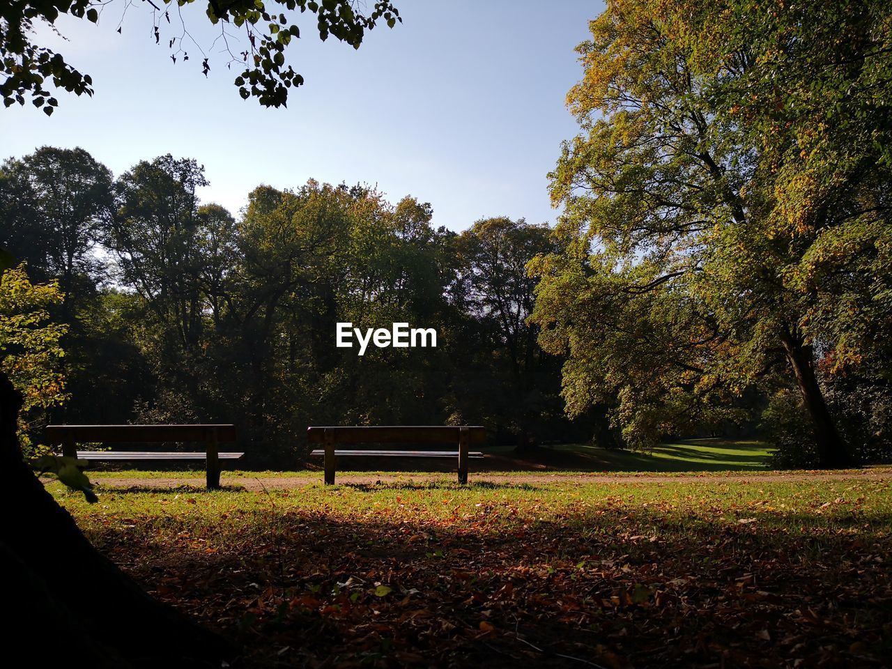 EMPTY PARK BENCH BY TREES AGAINST SKY IN AUTUMN