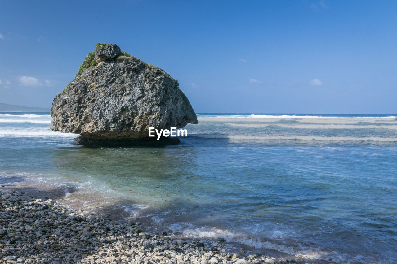 Coral reef boulder on the beach at bathsheba, barbados