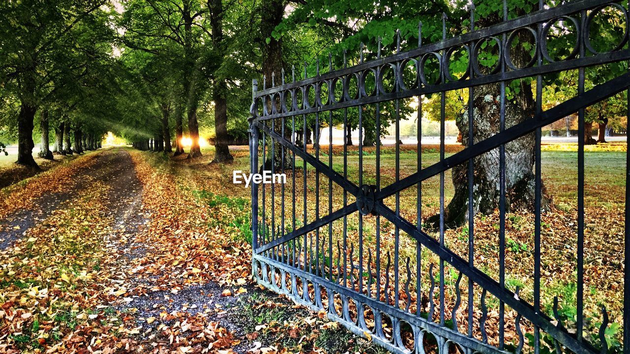 Open metallic gate in park during autumn