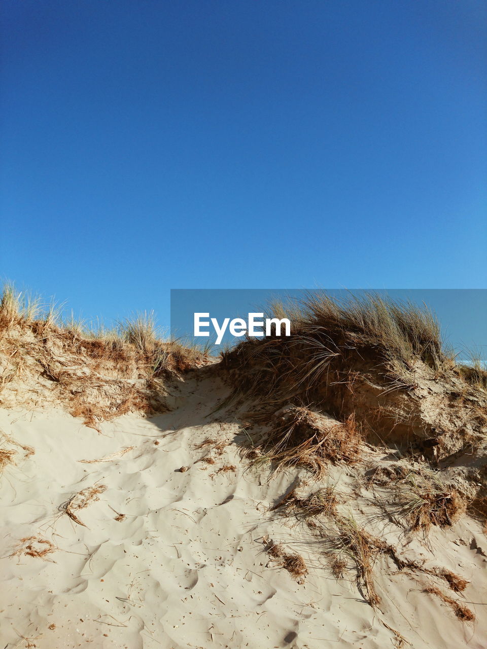 Sand hills on the beach