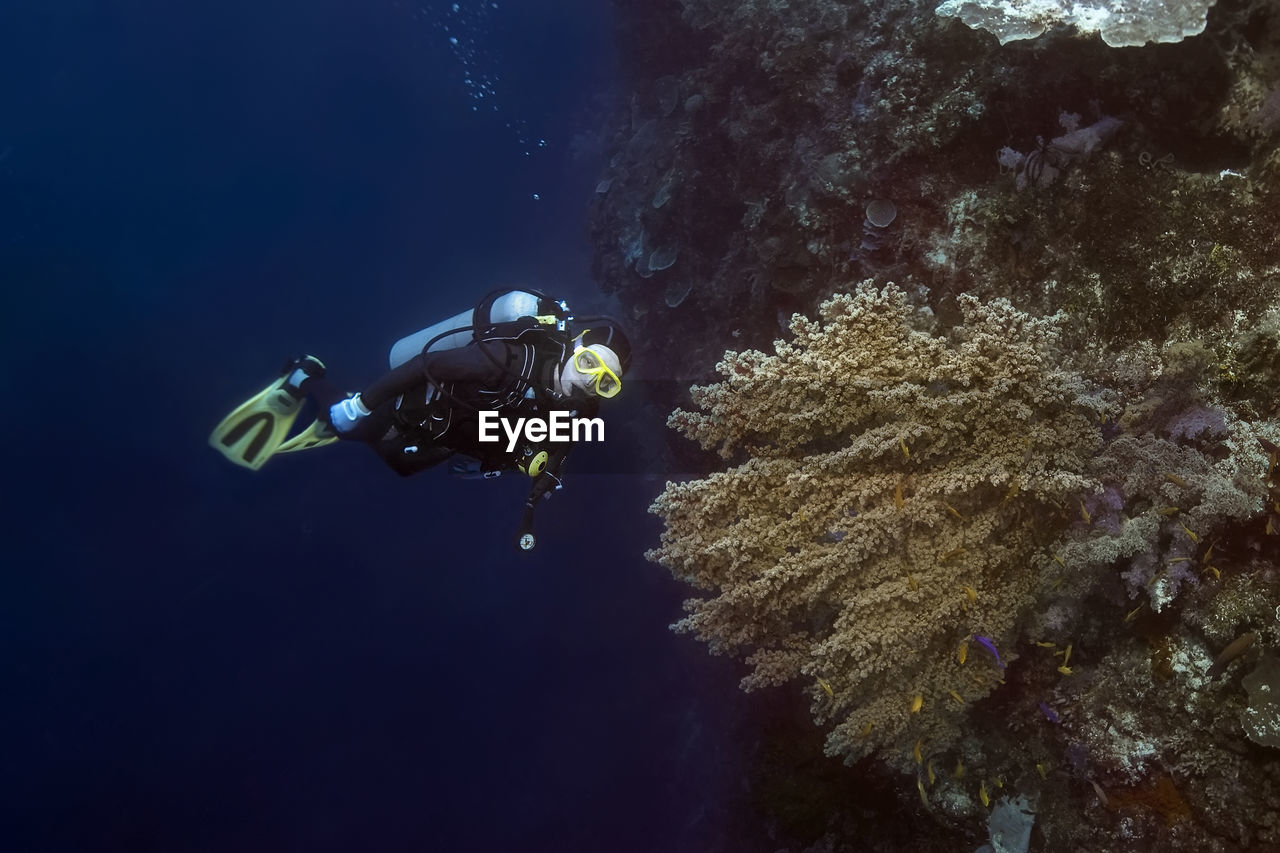 Portrait of senior woman diving undersea