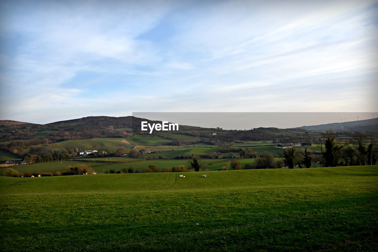 SCENIC VIEW OF GREEN LANDSCAPE AGAINST SKY