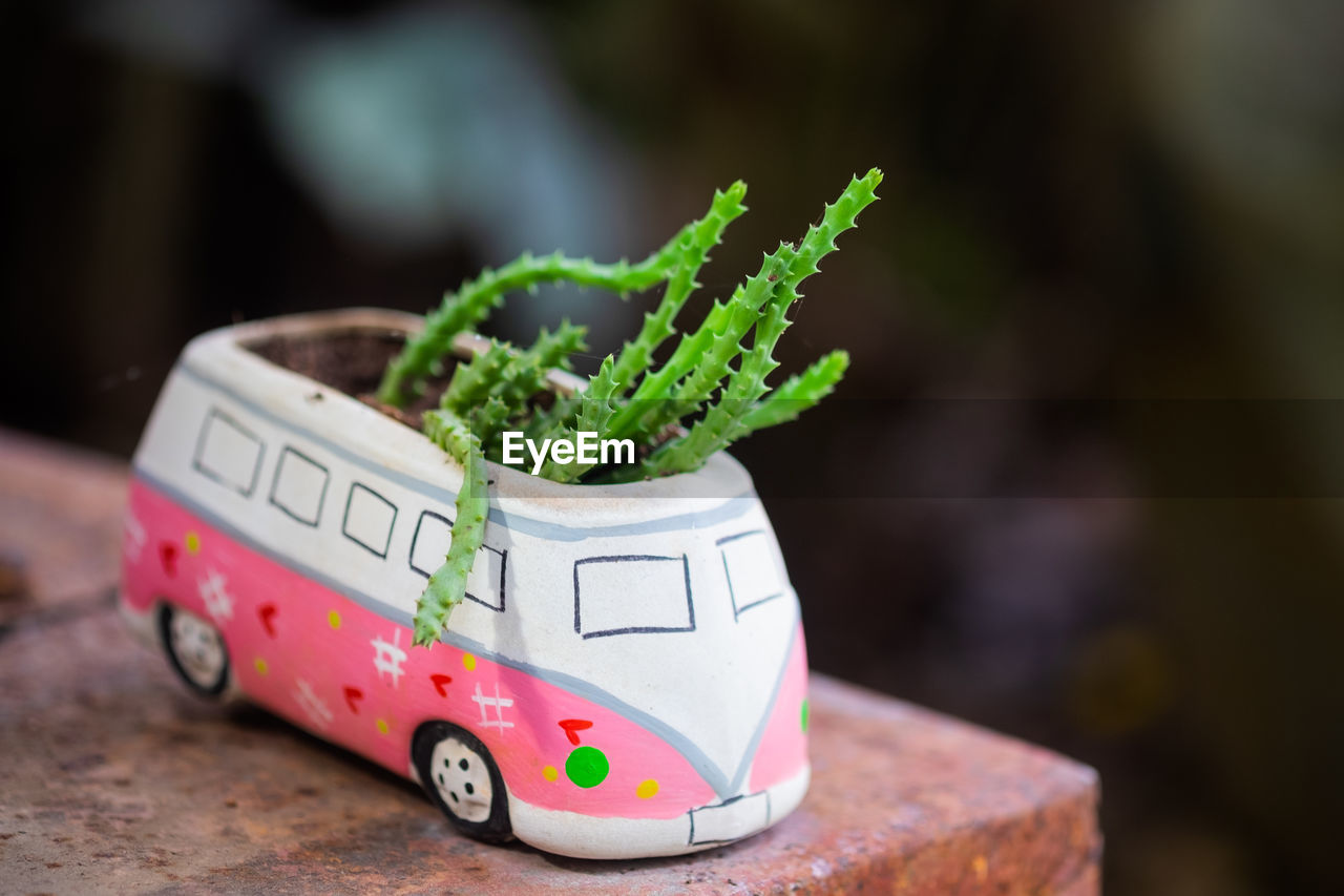 CLOSE-UP OF GREEN TOY IN POT ON TABLE