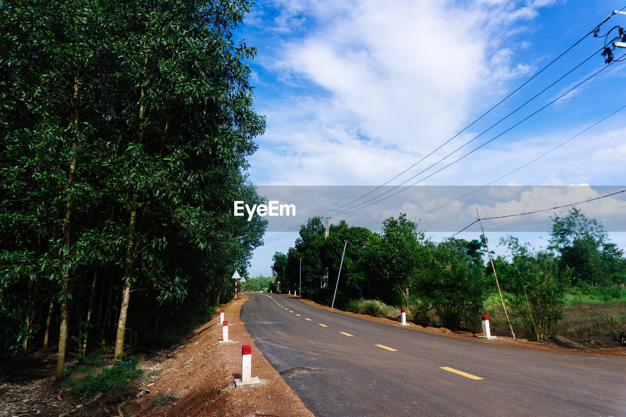 ROAD BY TREES AGAINST SKY