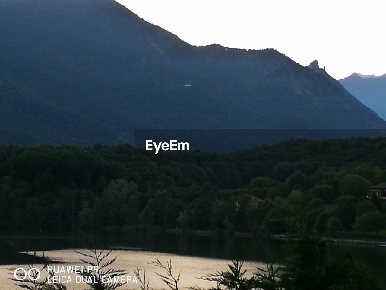 SCENIC VIEW OF TREES AND MOUNTAINS AGAINST CLEAR SKY