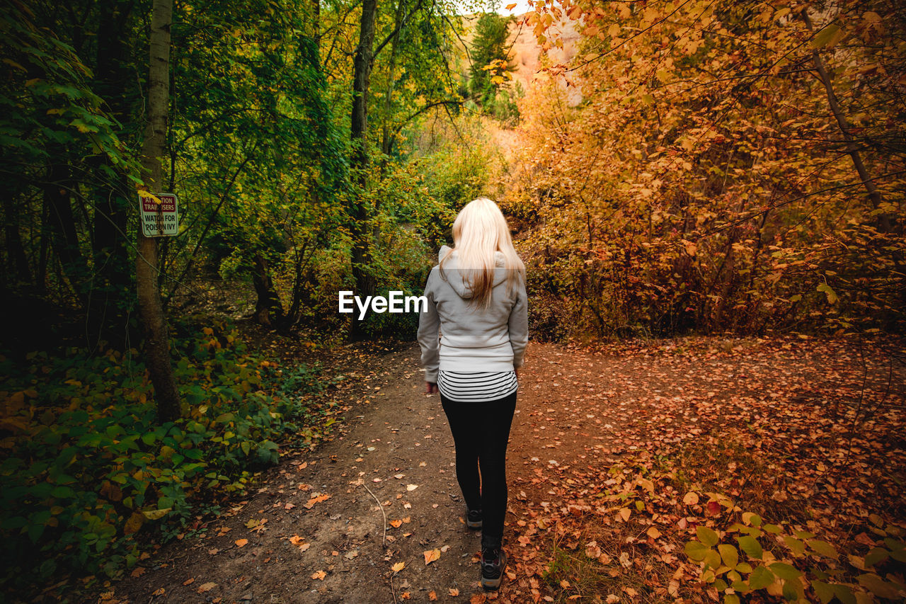 Rear view of woman walking in forest during autumn