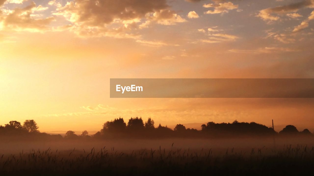 Scenic view of landscape at sunset in the fog