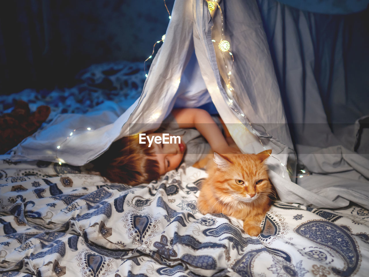 Little boy plays with ginger cat. toddler and pet play in tent made of linen sheet on bed. 