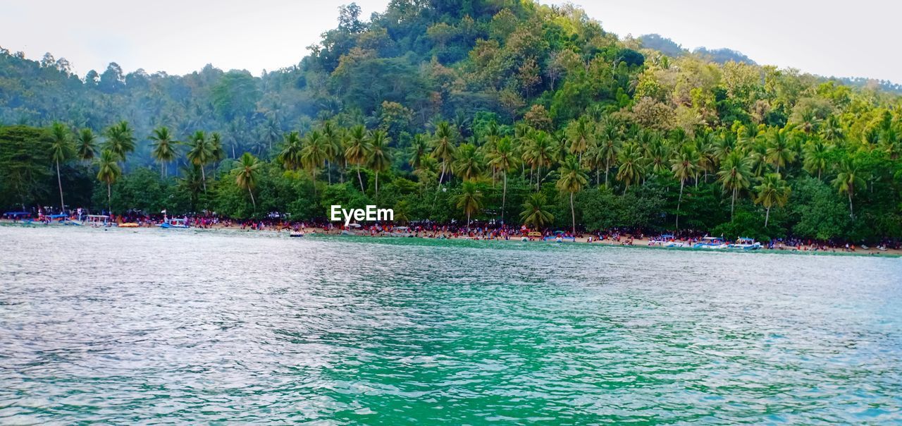 SCENIC VIEW OF LAKE AGAINST TREES AND SKY