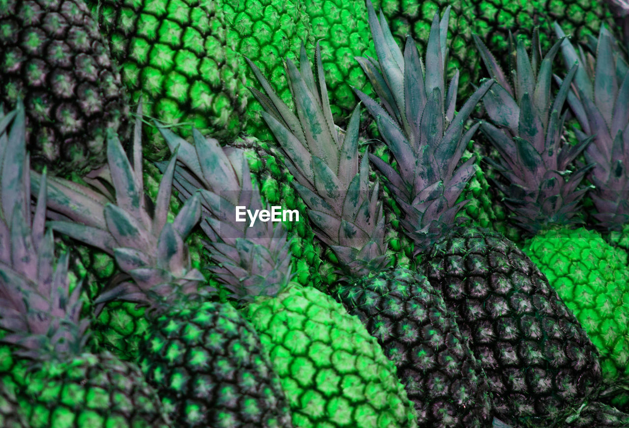 FULL FRAME SHOT OF FRESH FRUIT