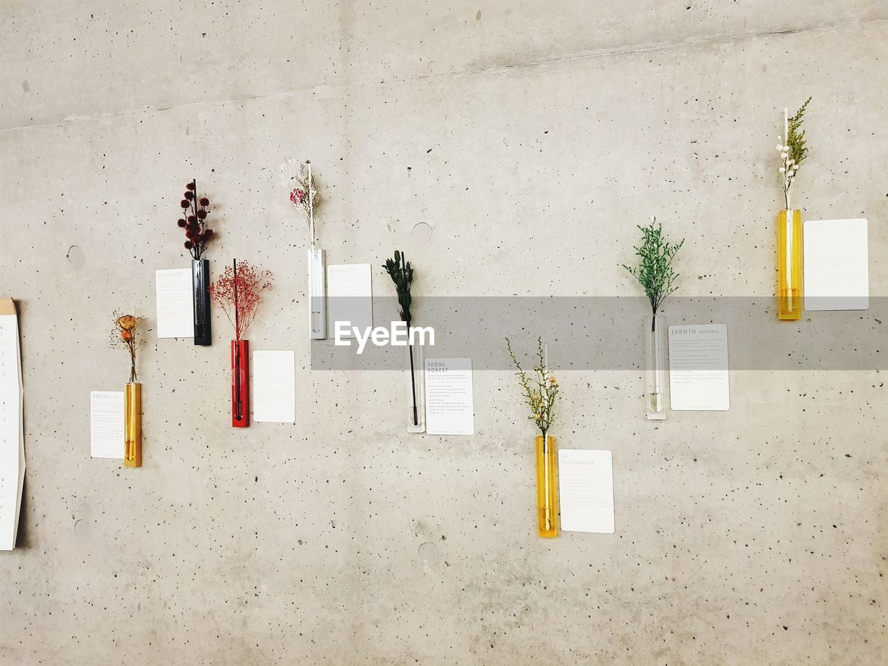 Directly above shot of various plants in test tubes with labels on table