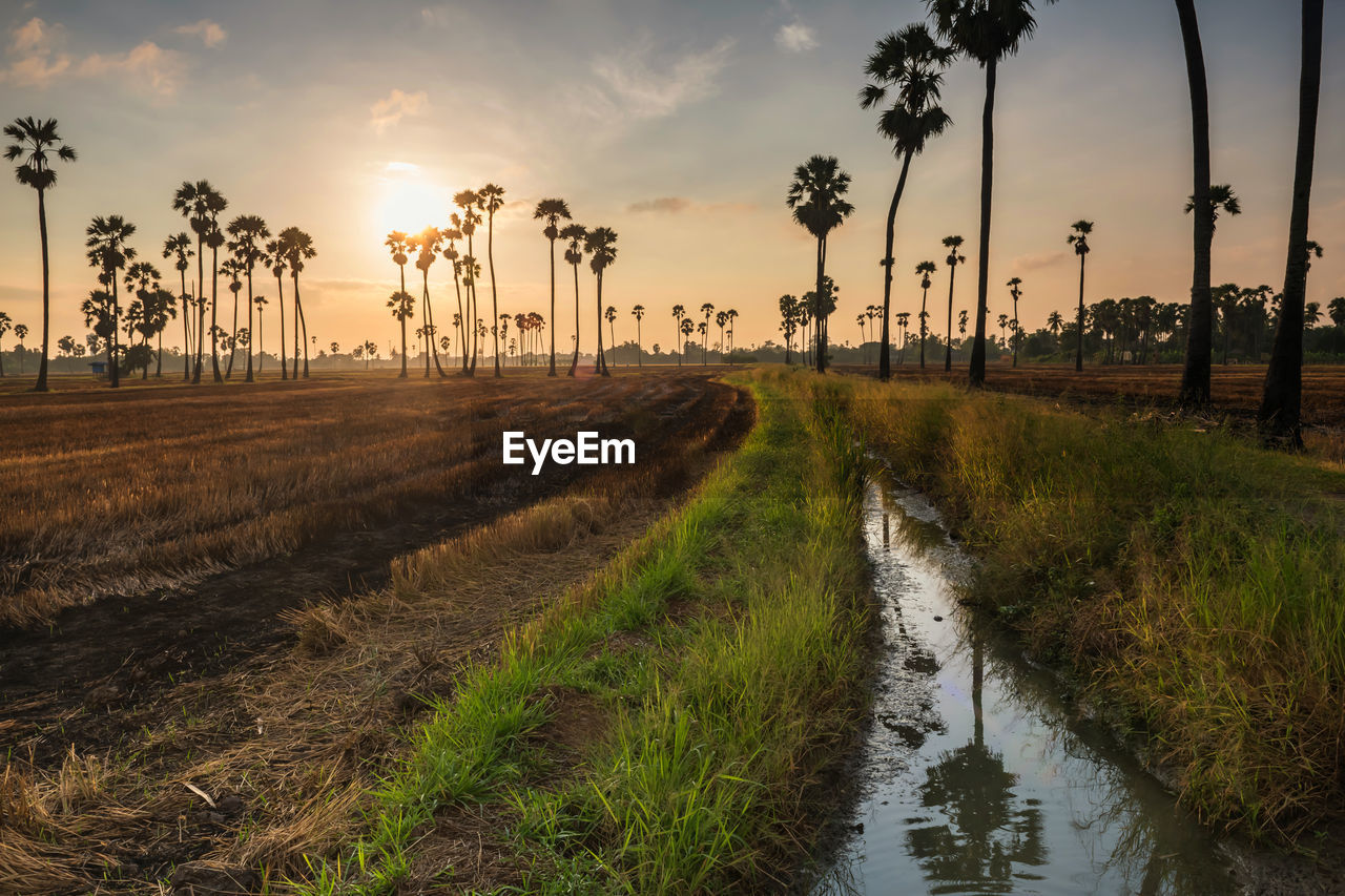 SCENIC VIEW OF CANAL AGAINST SKY DURING SUNSET