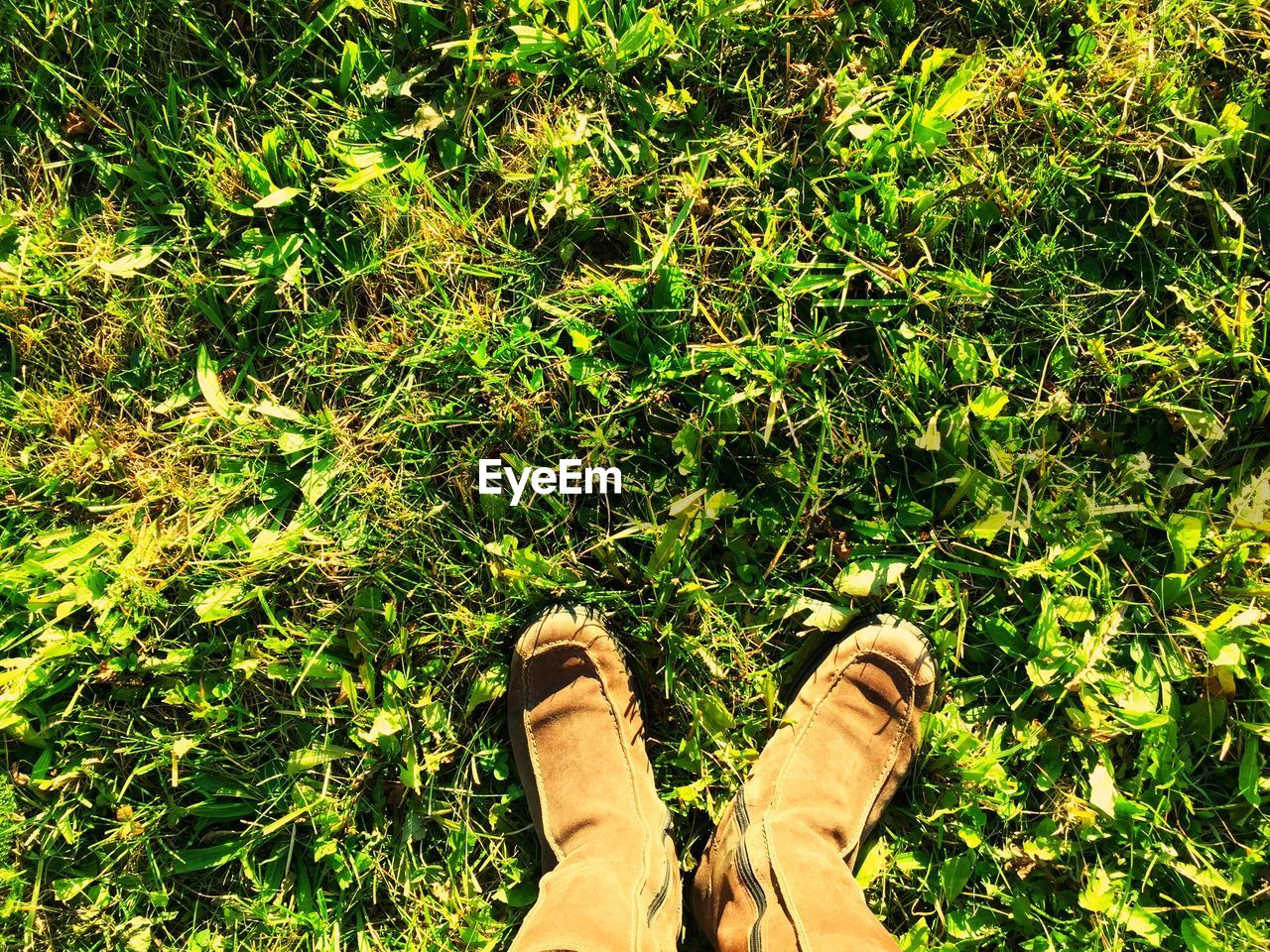 LOW SECTION OF WOMAN ON GRASSY FIELD