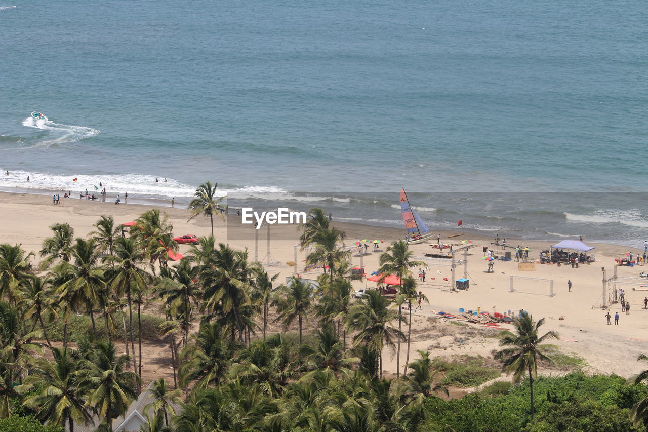 High angle view of palm trees on beach