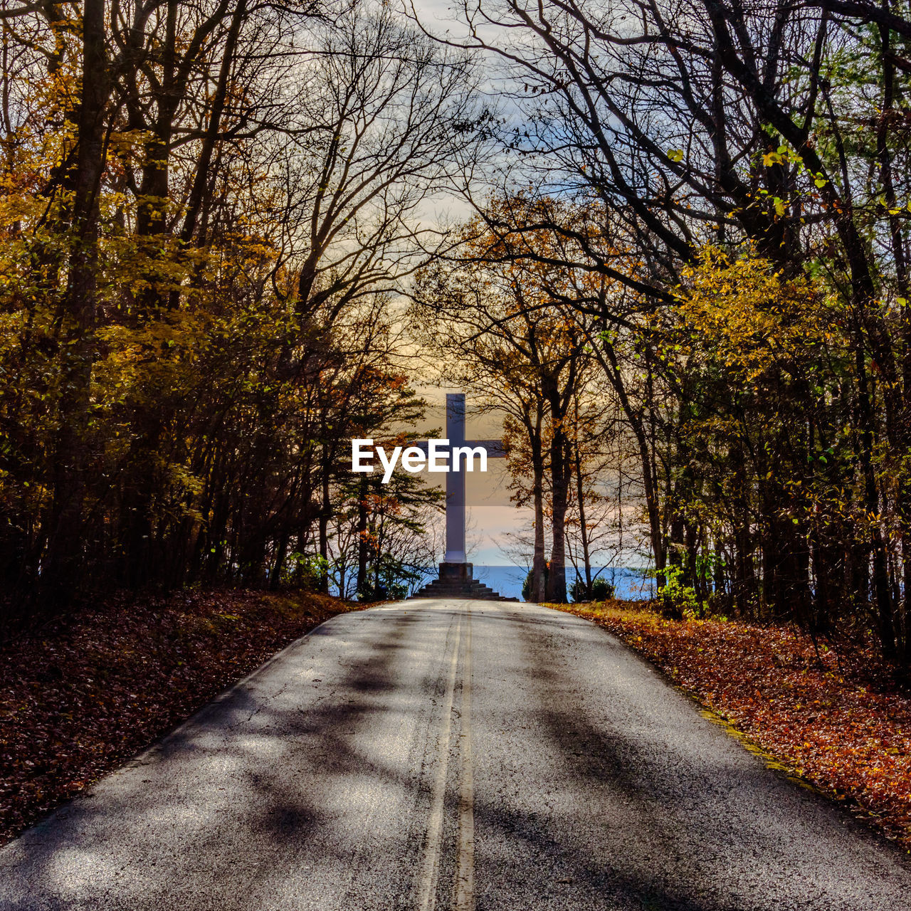 Road amidst trees during autumn