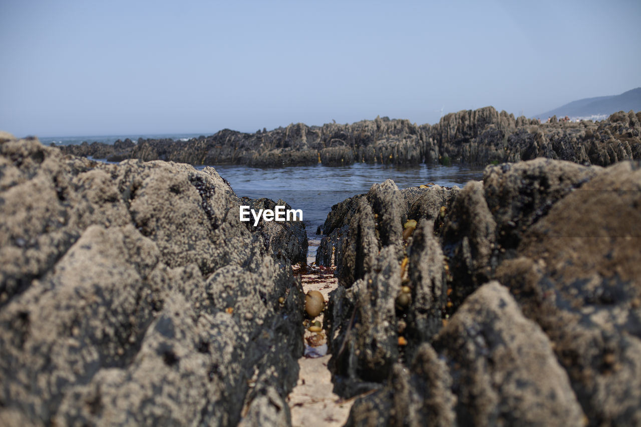 PANORAMIC VIEW OF SEA AGAINST CLEAR SKY