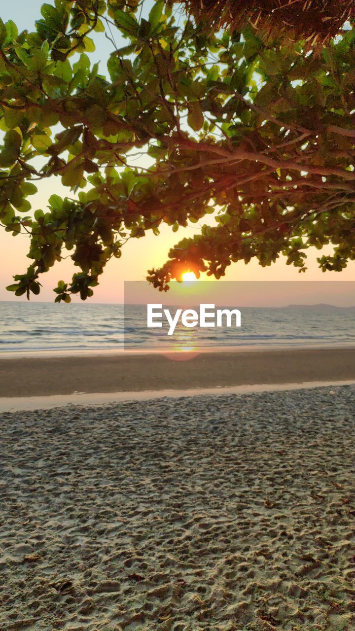 SCENIC VIEW OF BEACH DURING SUNSET