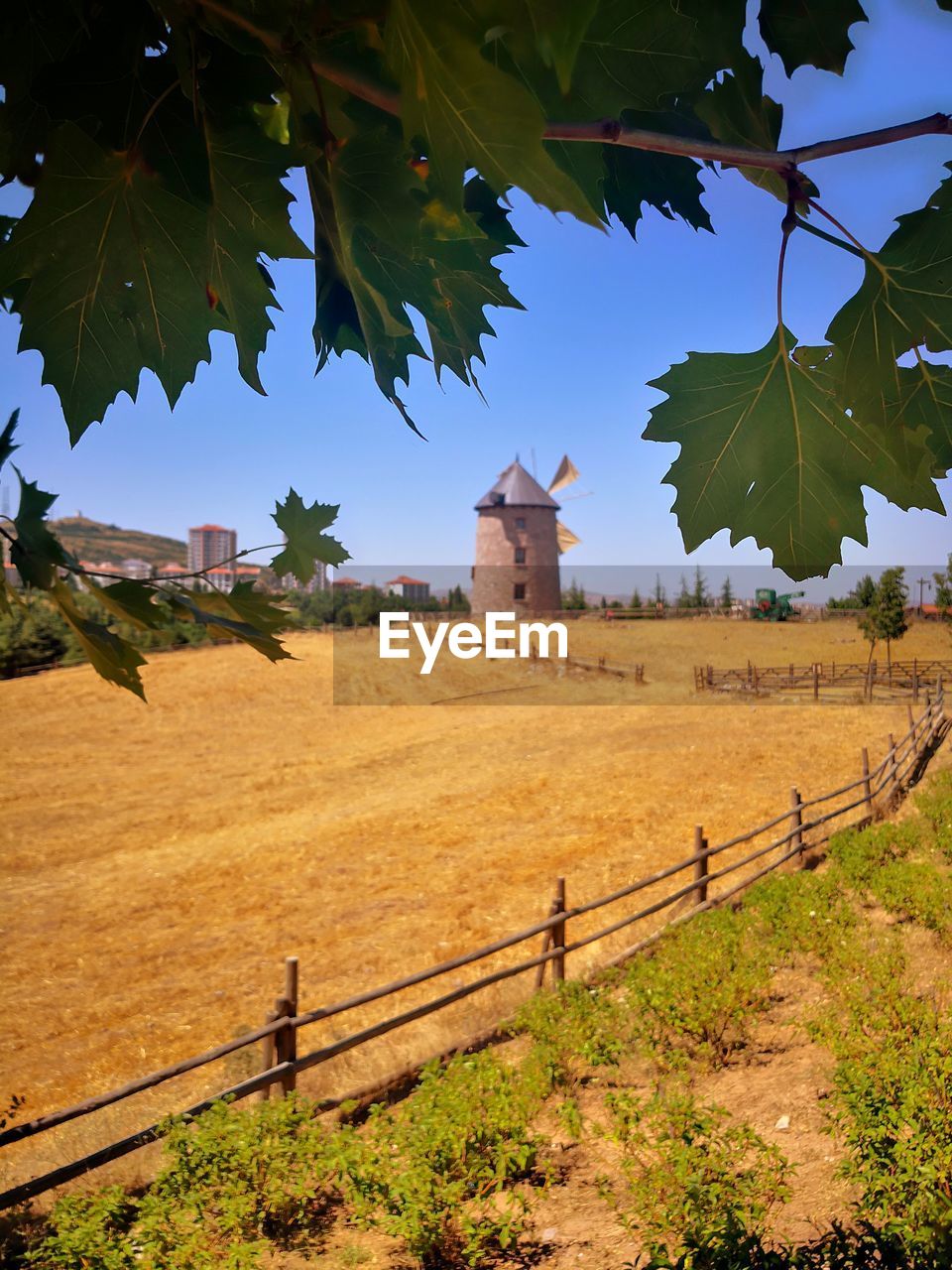 Scenic view of field by trees against sky