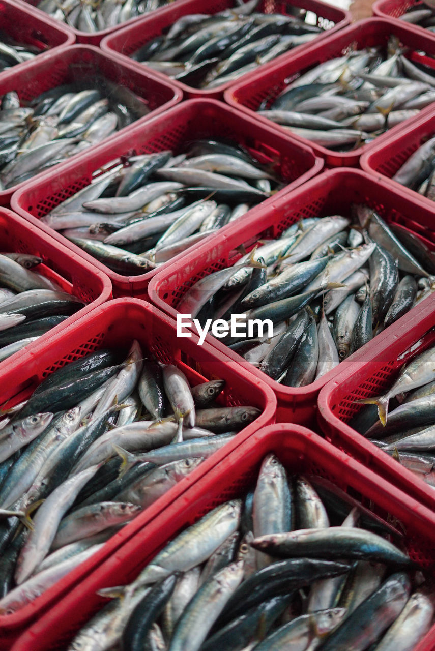 Full frame shot of fish for sale in market