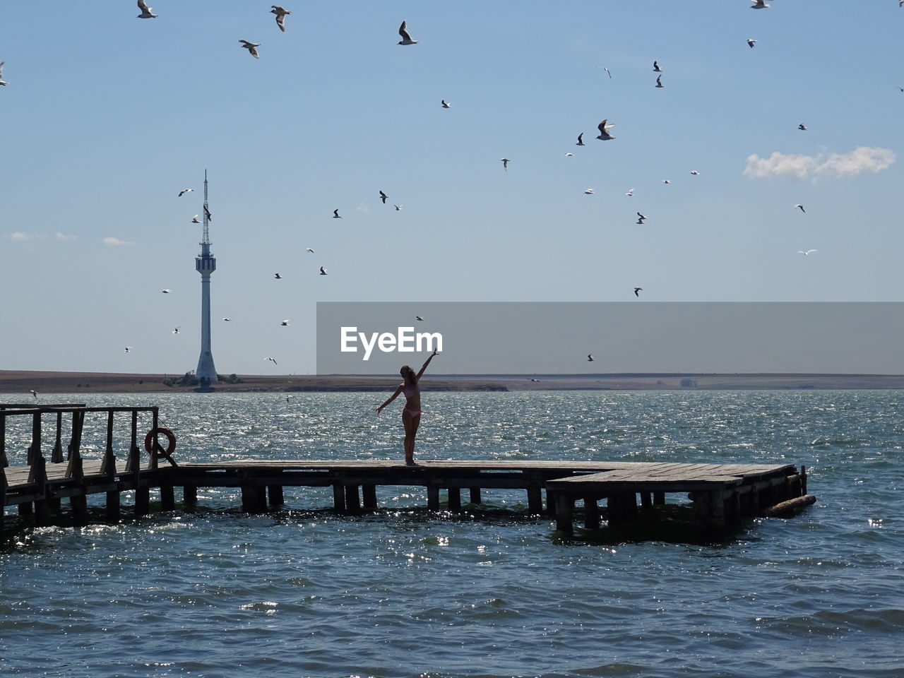 BIRDS FLYING OVER SEA