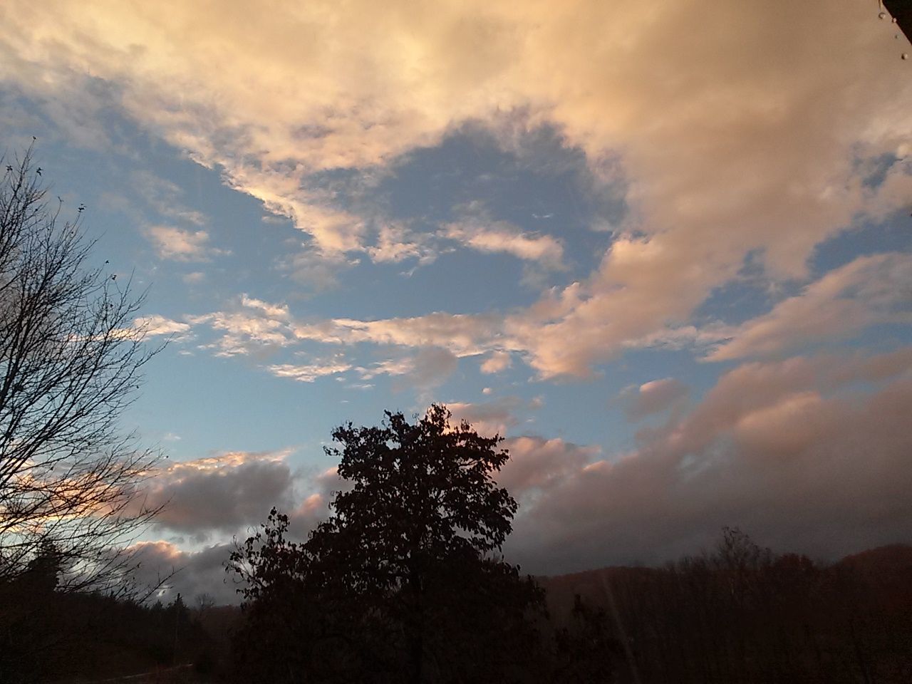 SILHOUETTE OF TREES AGAINST CLOUDY SKY AT SUNSET