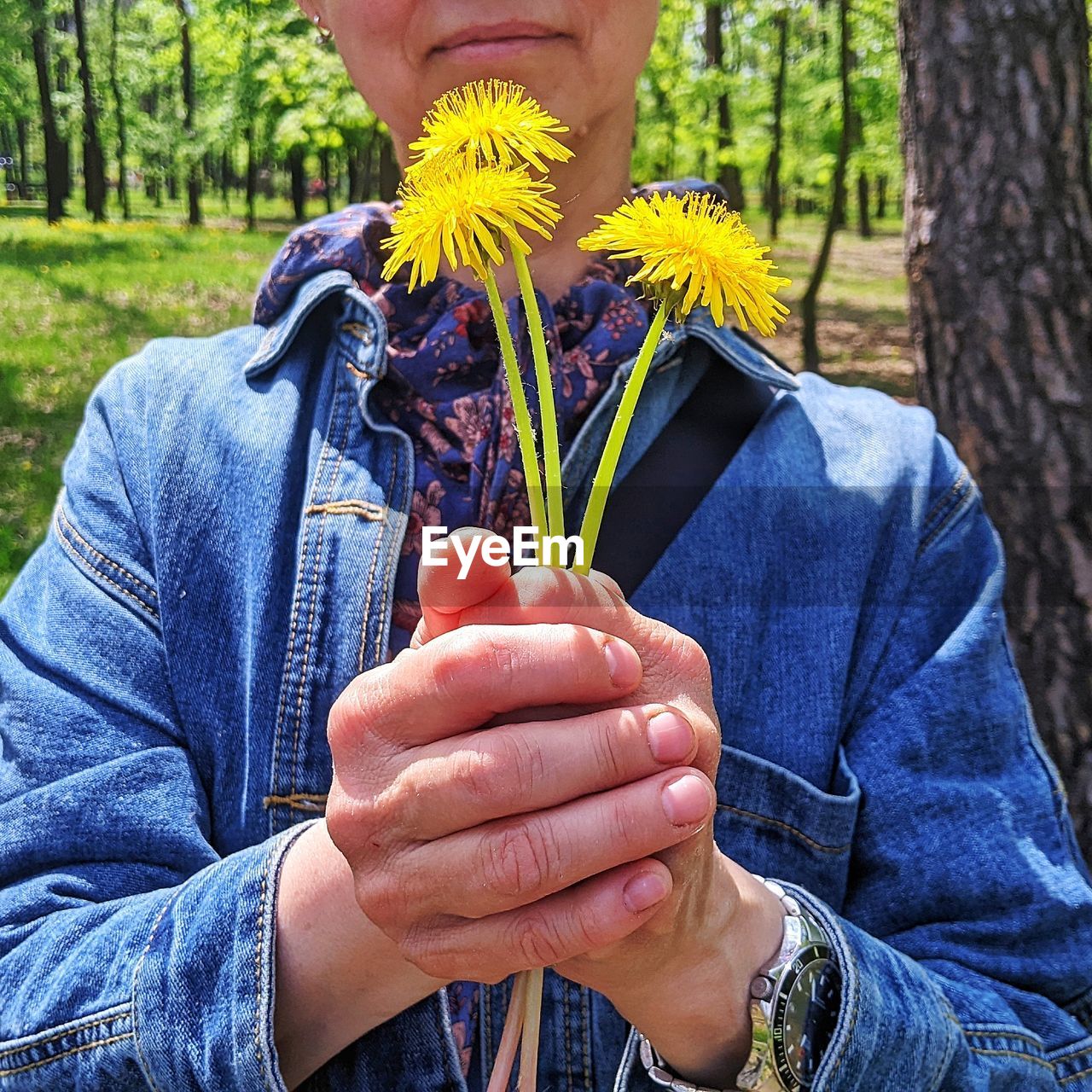 plant, one person, holding, nature, tree, leisure activity, flower, hand, adult, day, men, front view, spring, casual clothing, lifestyles, outdoors, yellow, person, close-up, focus on foreground, flowering plant, beauty in nature, forest, growth, land, women, portrait, emotion, clothing