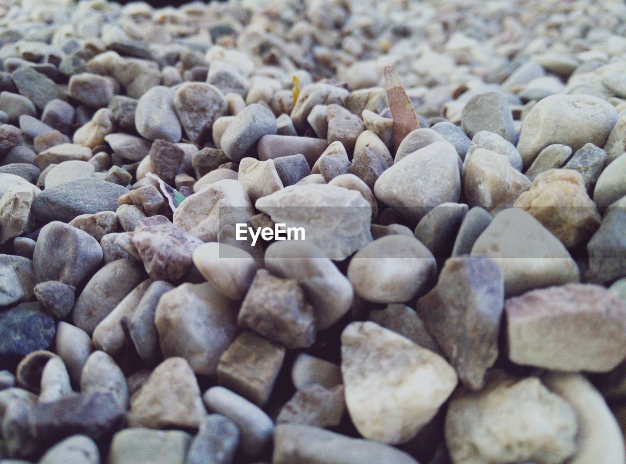 Close-up of stones on field