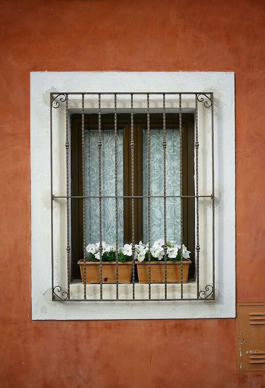 Flower pots on window of house