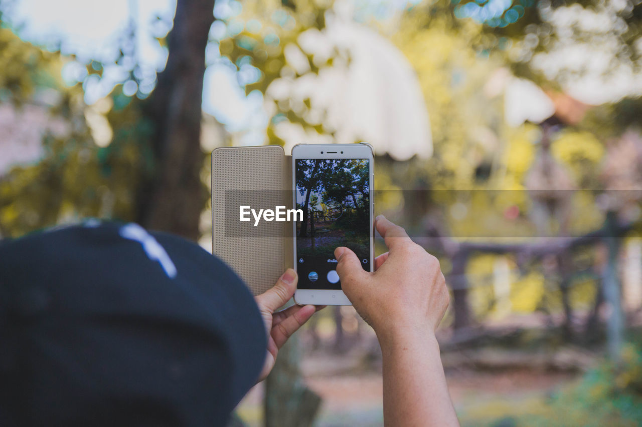 Close-up of person photographing tree at park with smart phone