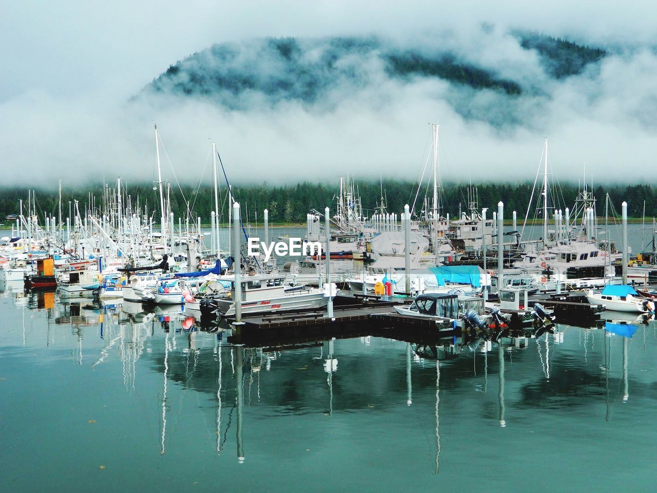 Boats moored in harbor against sky