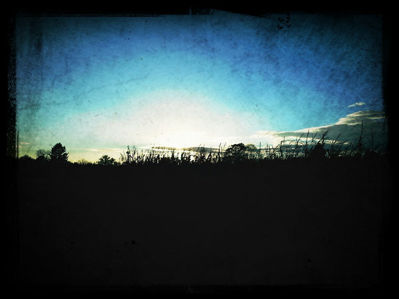SILHOUETTE TREES AGAINST SKY AT SUNSET