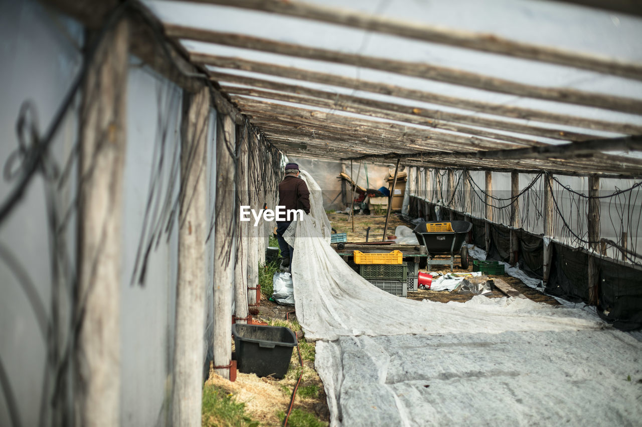 Rear view of man working in shed at farm