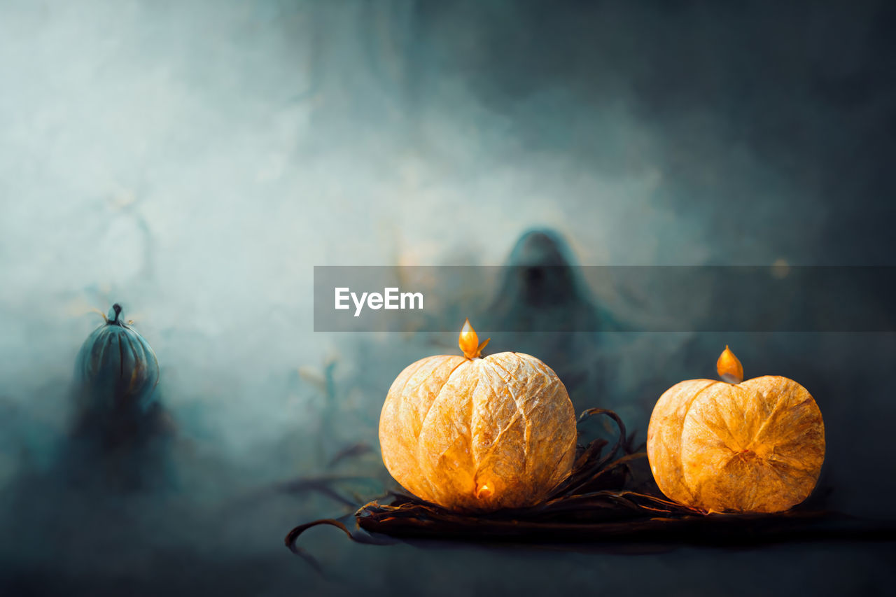 still life photography, food, food and drink, painting, healthy eating, fruit, light, wellbeing, still life, no people, citrus fruit, nature, smoke, freshness, darkness, celebration, orange color, macro photography, sunlight, indoors, tangerine, orange, studio shot, focus on foreground