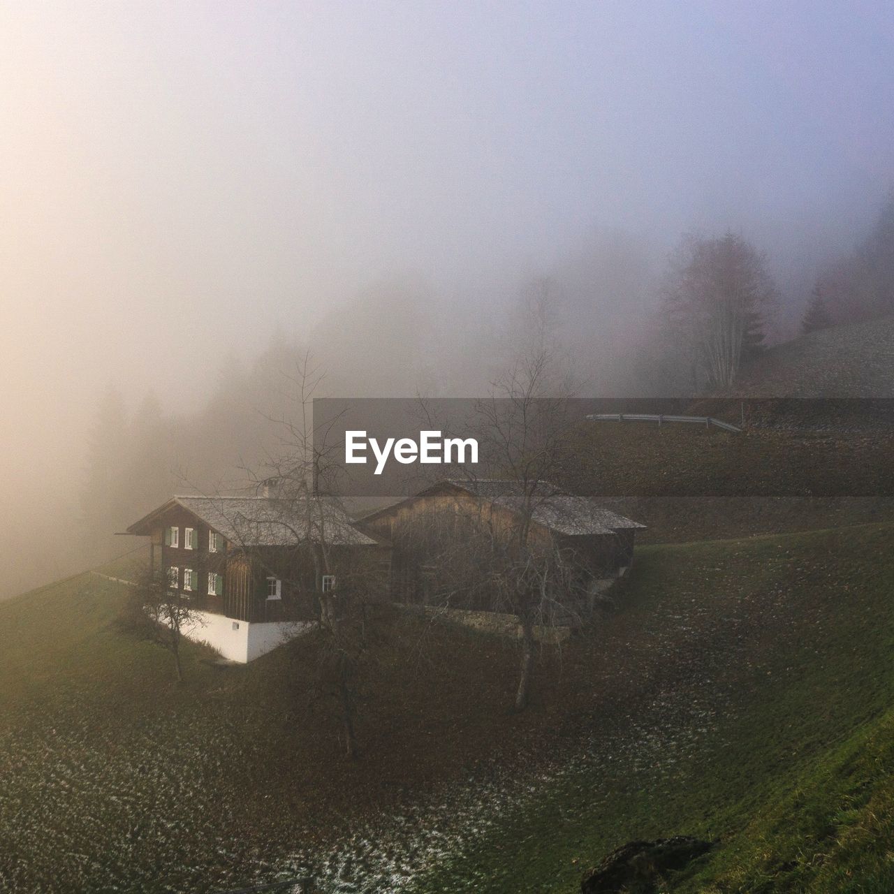 SCENIC VIEW OF FOGGY LANDSCAPE