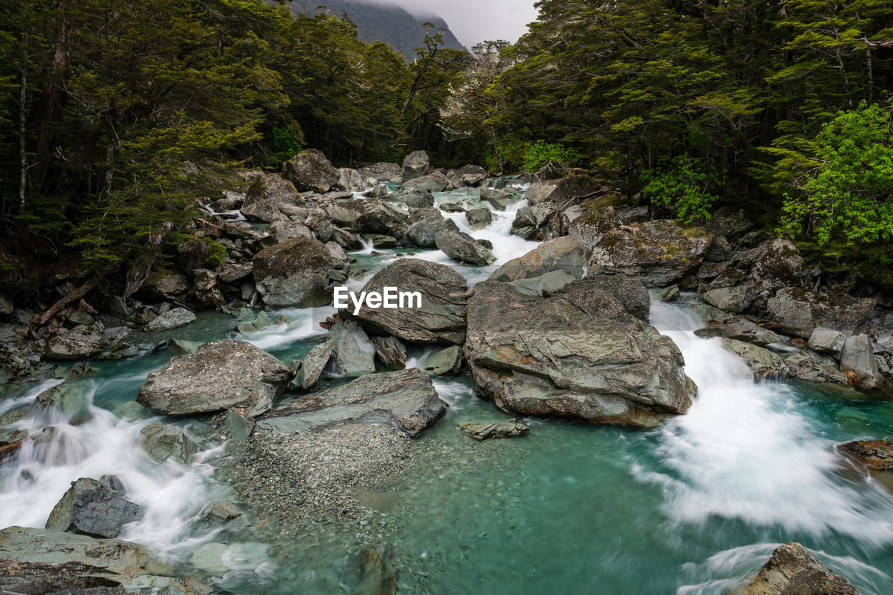 Stream in routeburn river flowing through rocks in forest