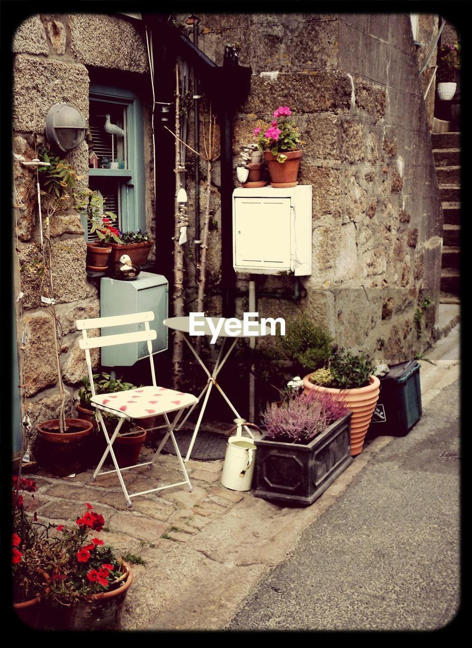 POTTED PLANTS ON THE WALL