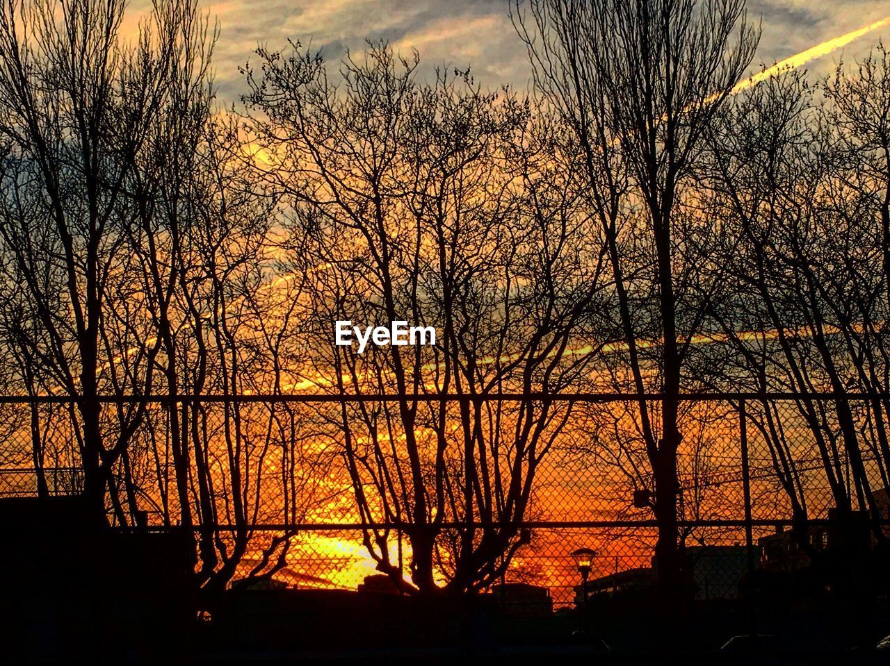 Low angle view of silhouette bare trees against cloudy sky at sunset