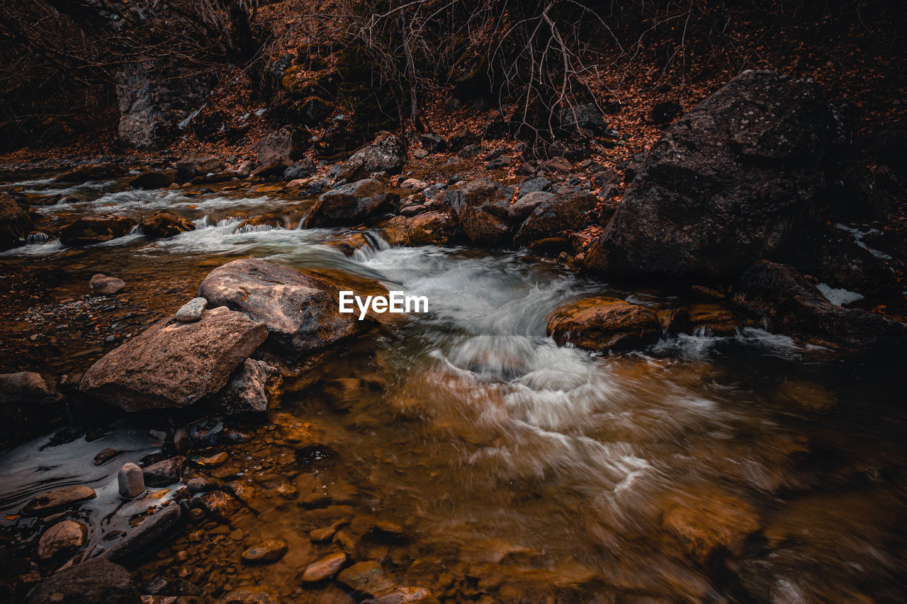 Stream flowing through rocks in forest