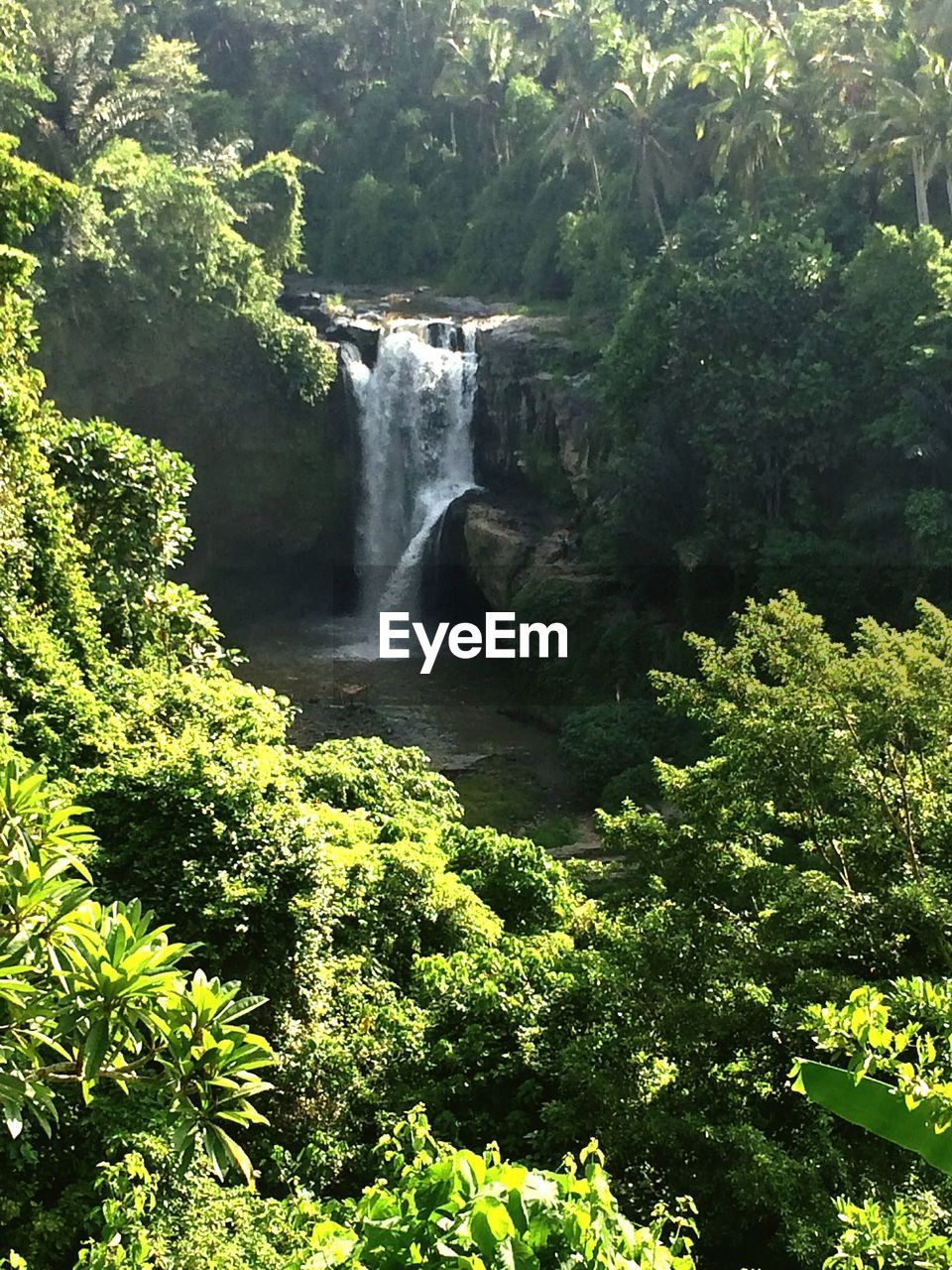 SCENIC VIEW OF WATERFALL