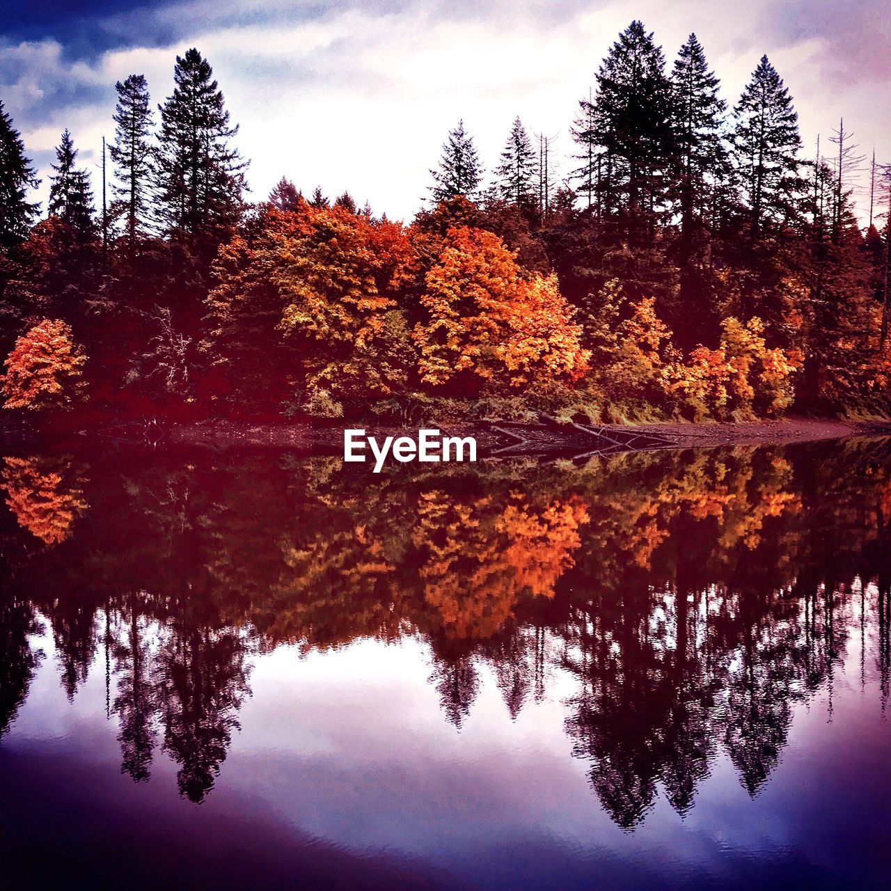 REFLECTION OF TREES IN LAKE AGAINST SKY