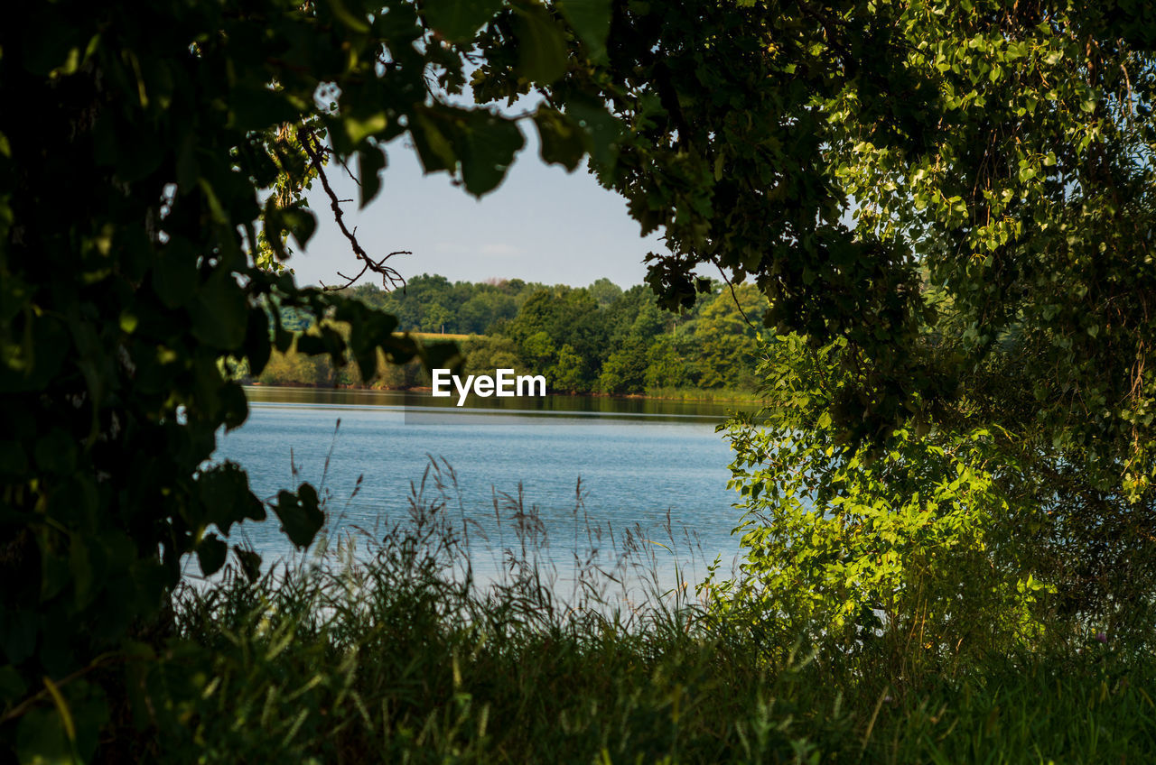 SCENIC VIEW OF LAKE AGAINST TREES