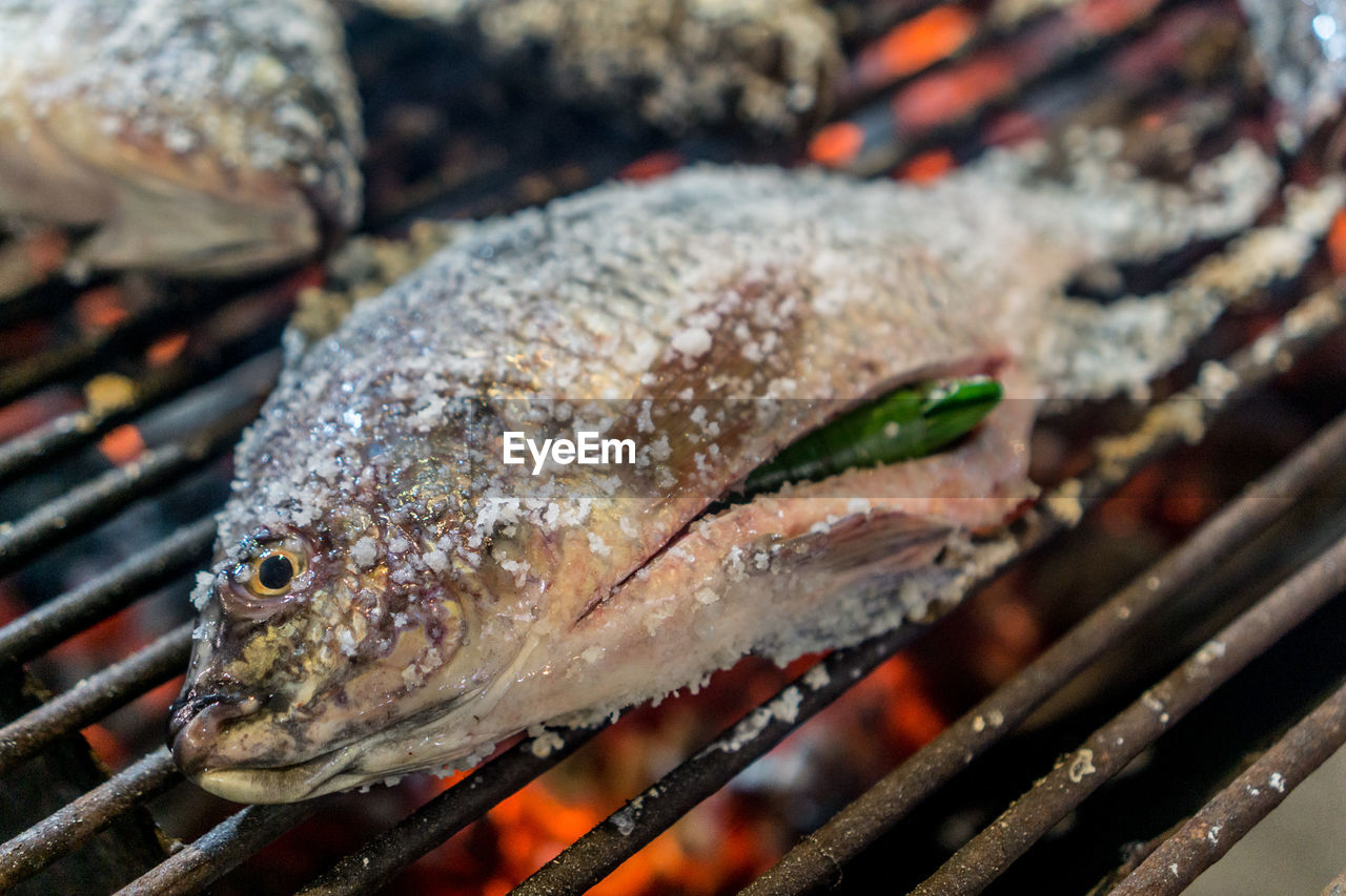 CLOSE-UP OF FISH ON GRILL