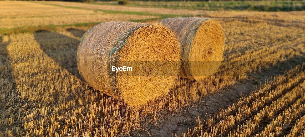 HAY BALES ON FIELD DURING FARM