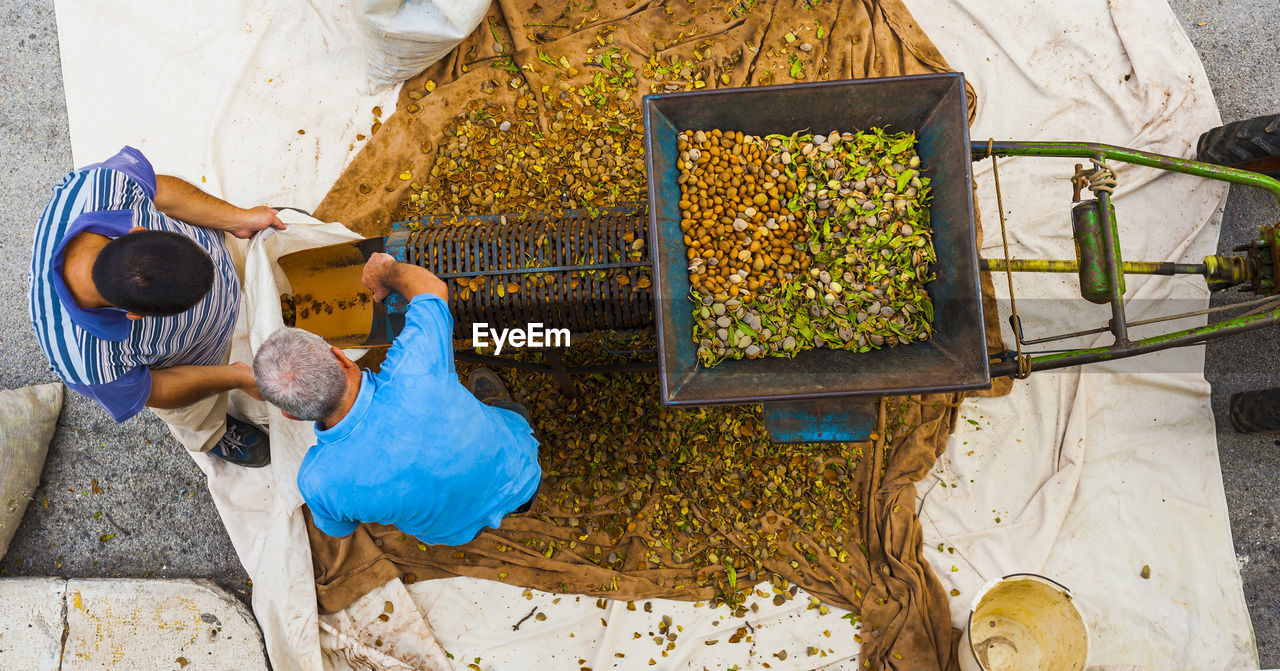 High angle view of people pouring beans in container