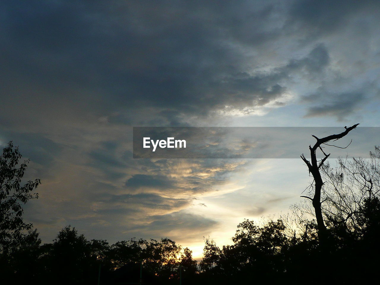 LOW ANGLE VIEW OF SILHOUETTE BARE TREES AGAINST SKY