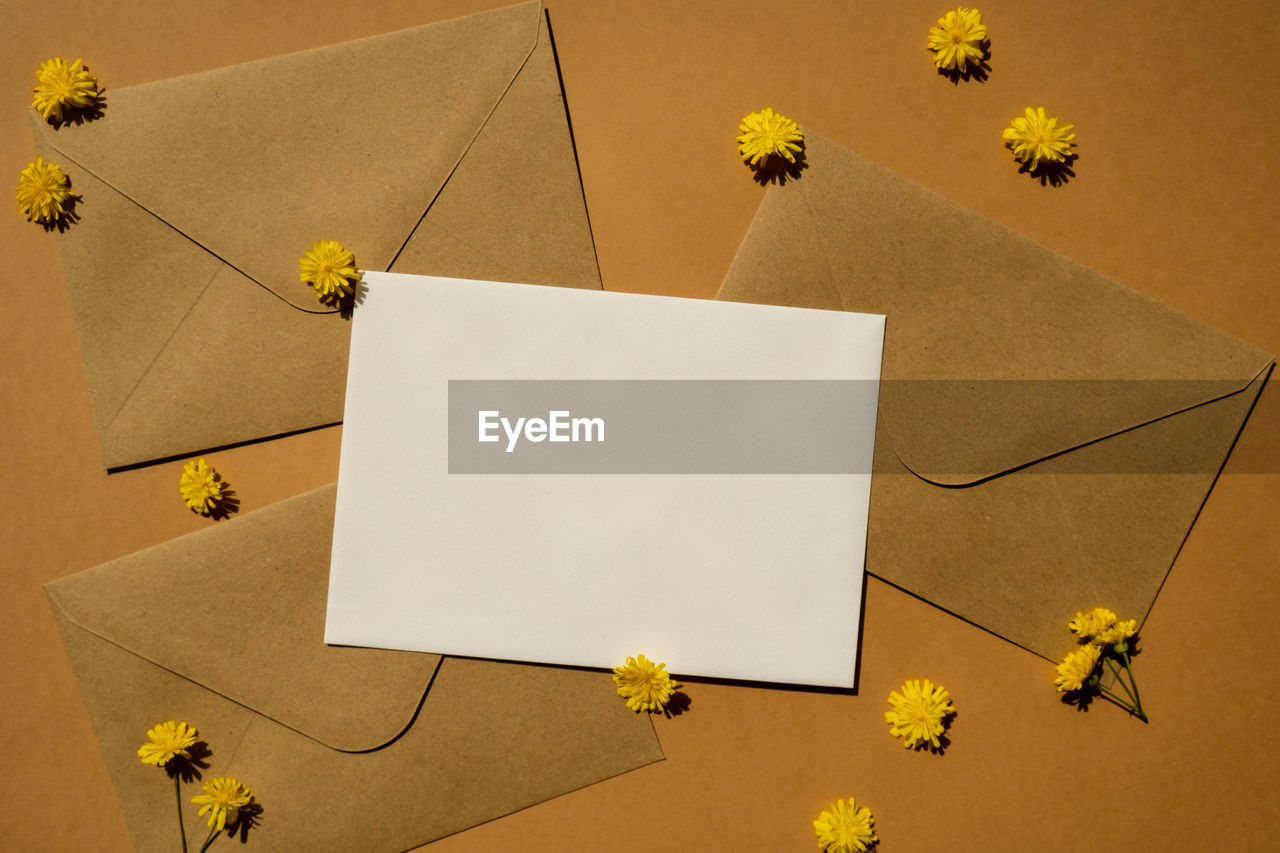 Beautiful little yellow chamomile daisies flowers on postal yellow envelopes on beige background