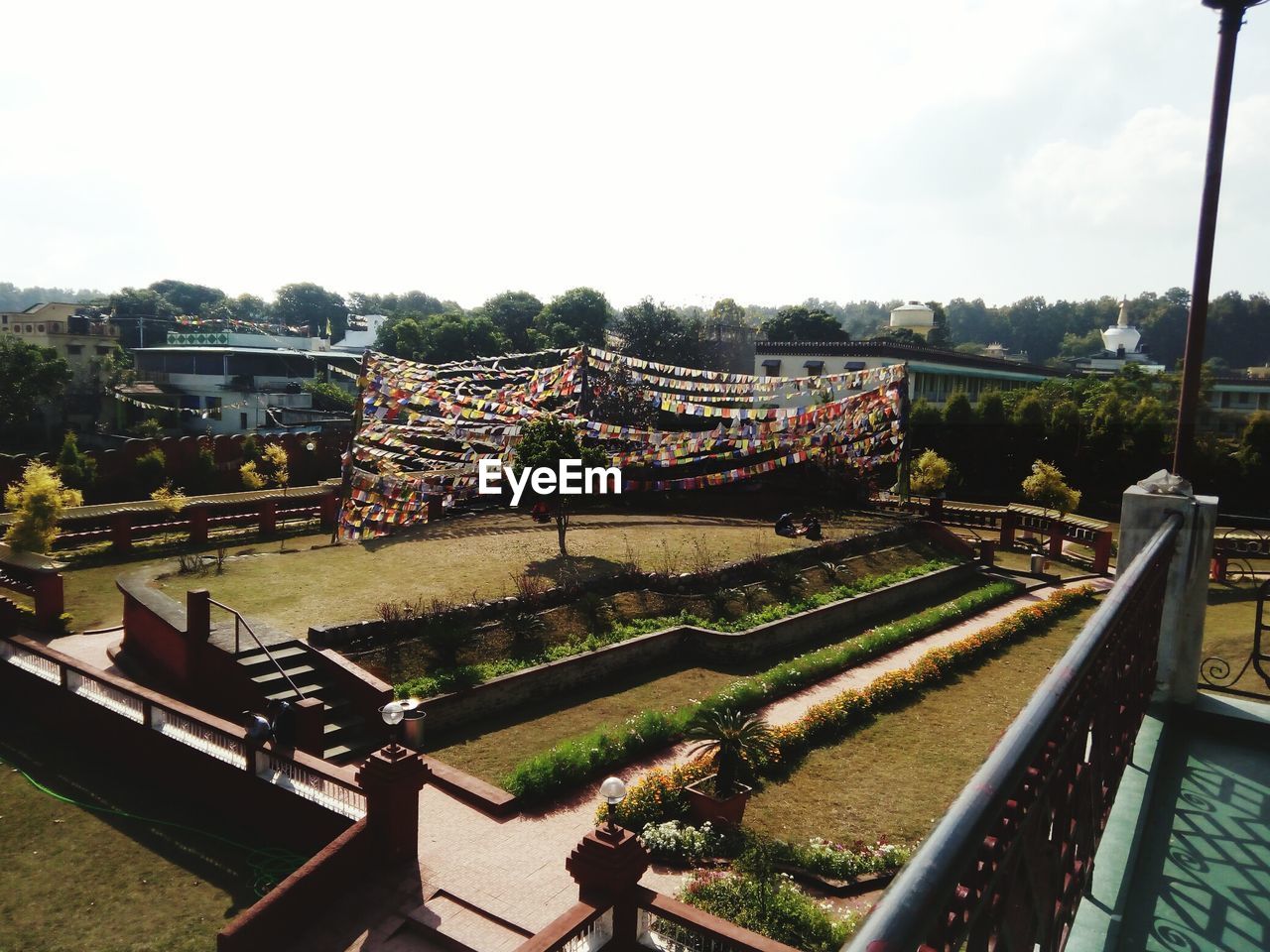 AERIAL VIEW OF TREES