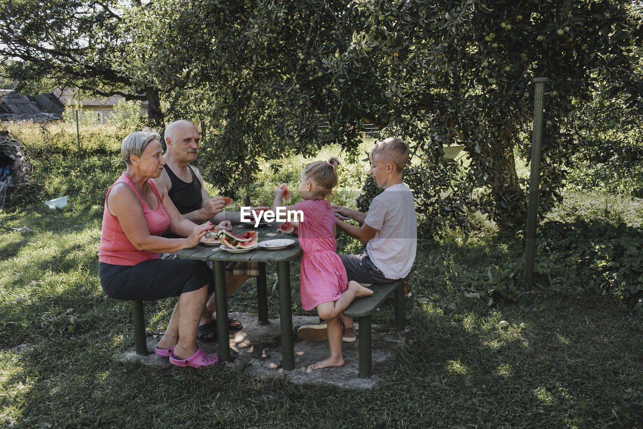 Grandparents spending time together with grandson and granddaughter in the garden eating watermelon