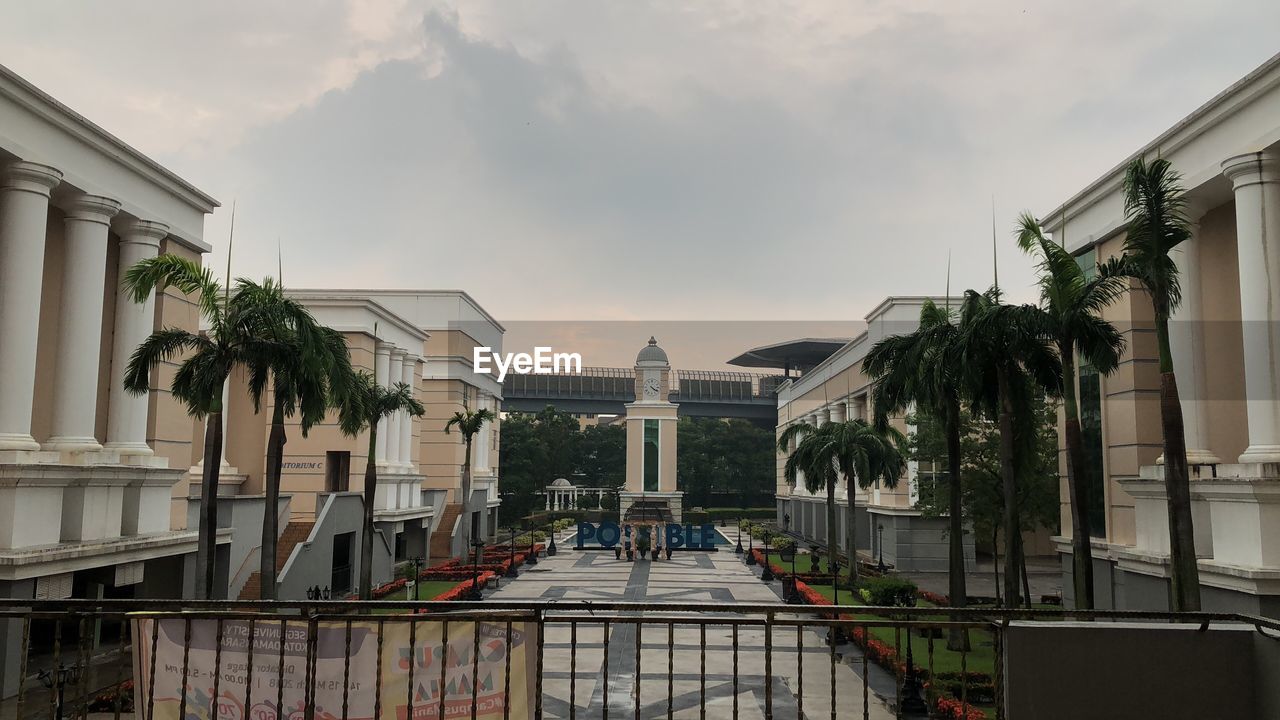 PANORAMIC VIEW OF PALM TREES AGAINST SKY