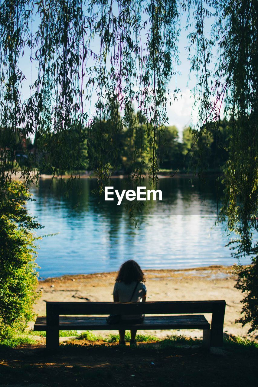 Rear view of girl sitting on bench in park